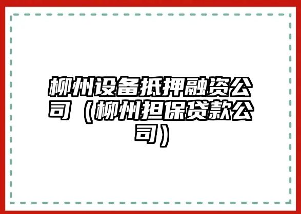 柳州設備抵押融資公司（柳州擔保貸款公司）