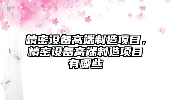精密設備高端制造項目，精密設備高端制造項目有哪些