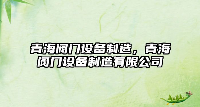 青海閥門(mén)設備制造，青海閥門(mén)設備制造有限公司