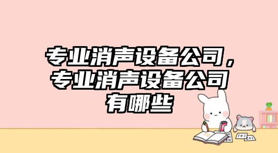 專(zhuān)業(yè)消聲設備公司，專(zhuān)業(yè)消聲設備公司有哪些