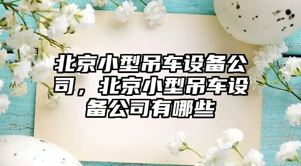 北京小型吊車(chē)設備公司，北京小型吊車(chē)設備公司有哪些