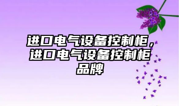 進(jìn)口電氣設備控制柜，進(jìn)口電氣設備控制柜品牌