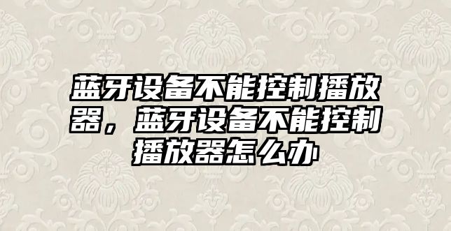 藍牙設備不能控制播放器，藍牙設備不能控制播放器怎么辦