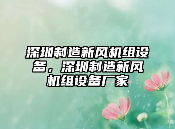 深圳制造新風(fēng)機組設備，深圳制造新風(fēng)機組設備廠(chǎng)家