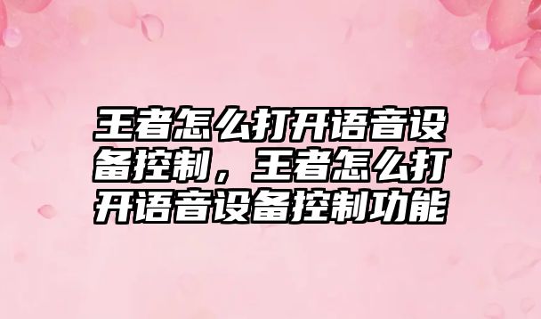 王者怎么打開(kāi)語(yǔ)音設備控制，王者怎么打開(kāi)語(yǔ)音設備控制功能