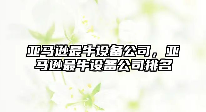 亞馬遜最牛設備公司，亞馬遜最牛設備公司排名