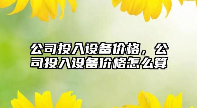 公司投入設備價(jià)格，公司投入設備價(jià)格怎么算