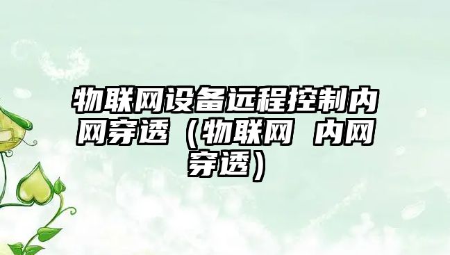 物聯(lián)網(wǎng)設備遠程控制內網(wǎng)穿透（物聯(lián)網(wǎng) 內網(wǎng)穿透）