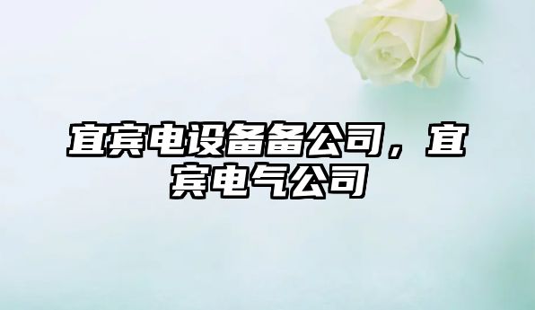 宜賓電設備備公司，宜賓電氣公司