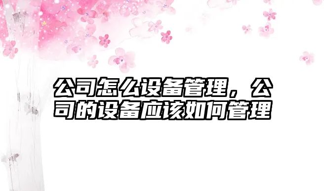 公司怎么設備管理，公司的設備應該如何管理