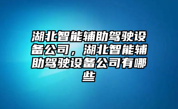 湖北智能輔助駕駛設備公司，湖北智能輔助駕駛設備公司有哪些