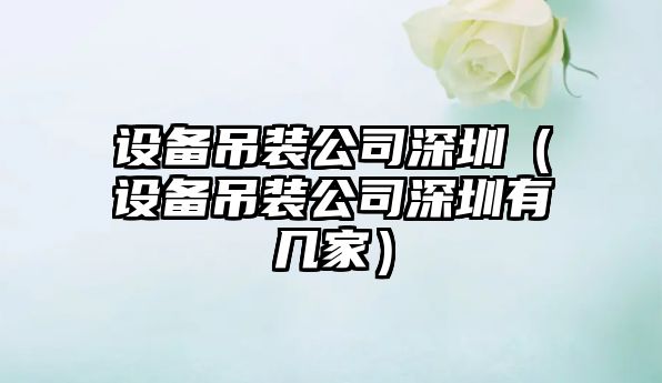 設備吊裝公司深圳（設備吊裝公司深圳有幾家）