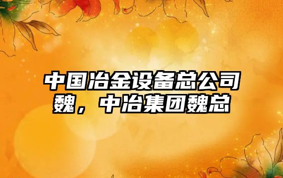 中國冶金設備總公司魏，中冶集團魏總