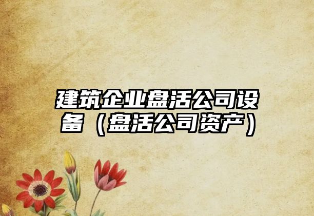 建筑企業(yè)盤(pán)活公司設備（盤(pán)活公司資產(chǎn)）