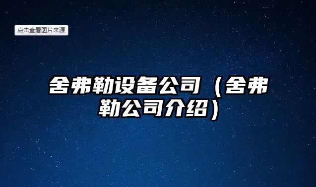 舍弗勒設備公司（舍弗勒公司介紹）