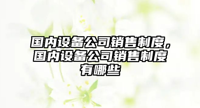 國內設備公司銷(xiāo)售制度，國內設備公司銷(xiāo)售制度有哪些