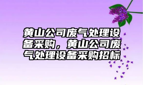 黃山公司廢氣處理設備采購，黃山公司廢氣處理設備采購招標