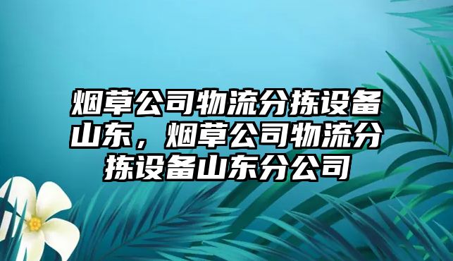 煙草公司物流分揀設備山東，煙草公司物流分揀設備山東分公司