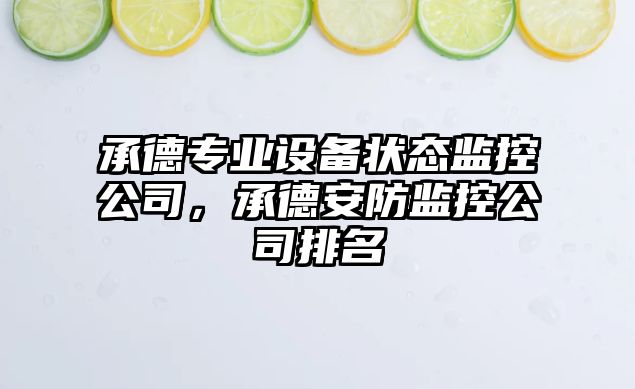 承德專(zhuān)業(yè)設備狀態(tài)監控公司，承德安防監控公司排名