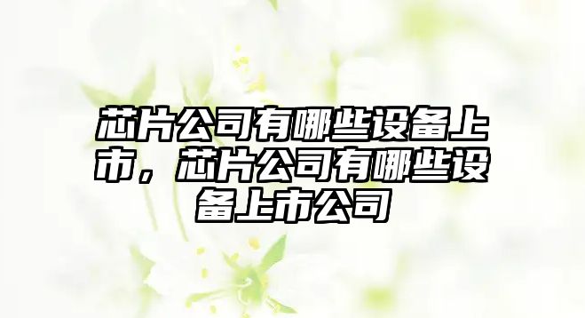 芯片公司有哪些設備上市，芯片公司有哪些設備上市公司