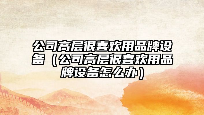 公司高層很喜歡用品牌設備（公司高層很喜歡用品牌設備怎么辦）