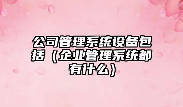公司管理系統設備包括（企業(yè)管理系統都有什么）