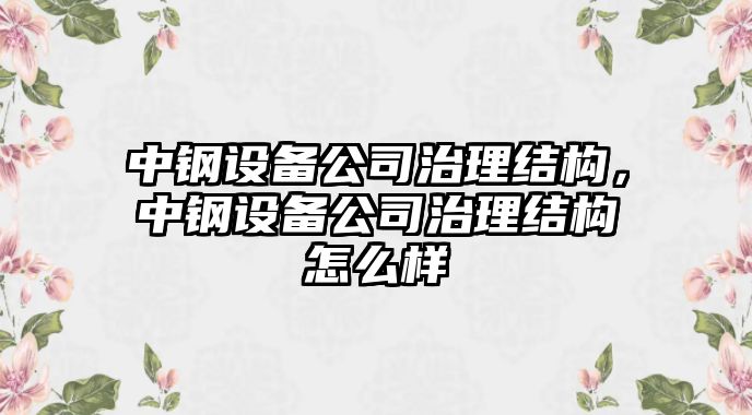 中鋼設備公司治理結構，中鋼設備公司治理結構怎么樣