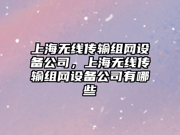 上海無(wú)線(xiàn)傳輸組網(wǎng)設備公司，上海無(wú)線(xiàn)傳輸組網(wǎng)設備公司有哪些