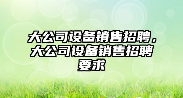 大公司設備銷(xiāo)售招聘，大公司設備銷(xiāo)售招聘要求