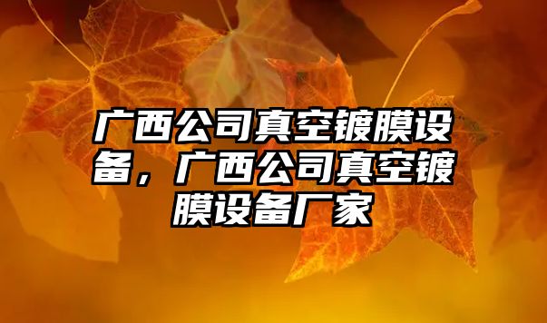 廣西公司真空鍍膜設備，廣西公司真空鍍膜設備廠(chǎng)家