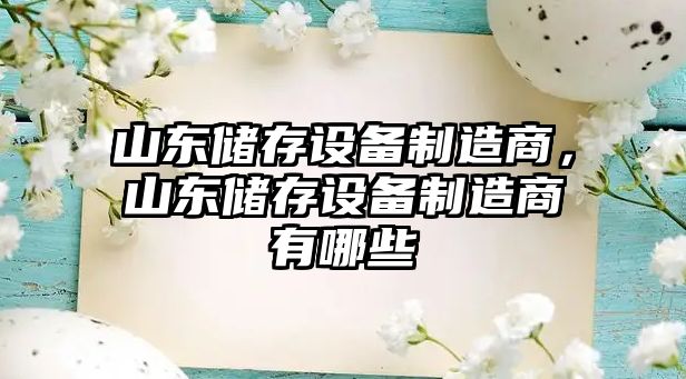 山東儲存設備制造商，山東儲存設備制造商有哪些