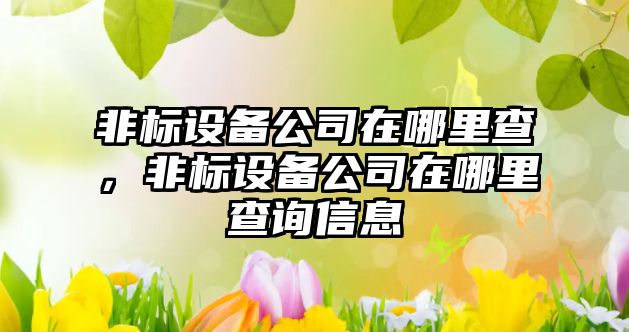 非標設備公司在哪里查，非標設備公司在哪里查詢(xún)信息