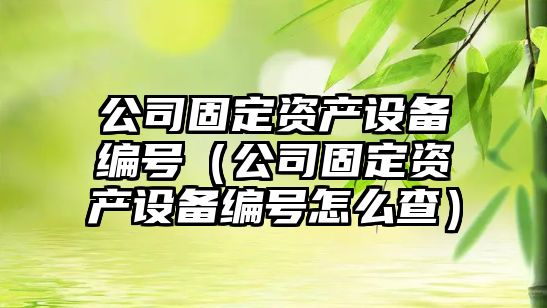 公司固定資產(chǎn)設備編號（公司固定資產(chǎn)設備編號怎么查）