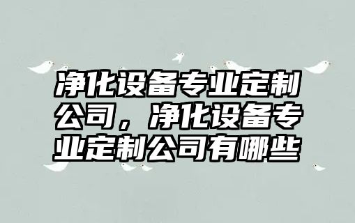 凈化設備專(zhuān)業(yè)定制公司，凈化設備專(zhuān)業(yè)定制公司有哪些