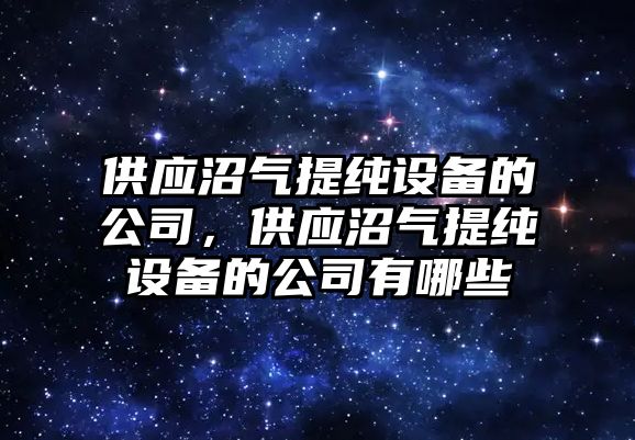 供應沼氣提純設備的公司，供應沼氣提純設備的公司有哪些
