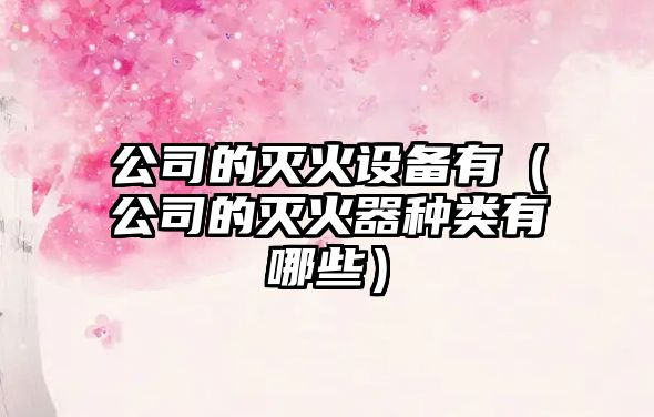 公司的滅火設備有（公司的滅火器種類(lèi)有哪些）