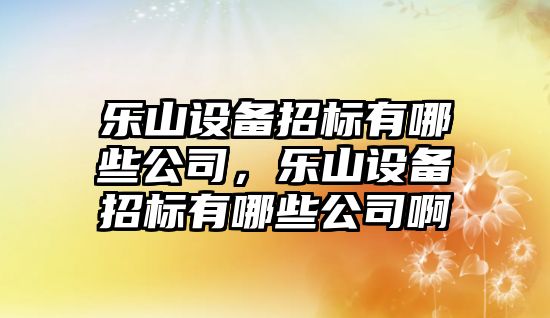 樂(lè )山設備招標有哪些公司，樂(lè )山設備招標有哪些公司啊