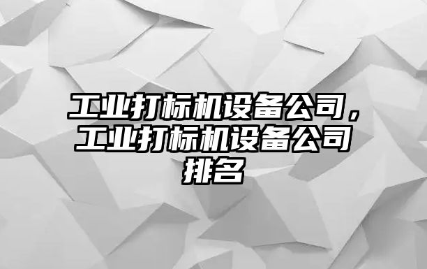 工業(yè)打標機設備公司，工業(yè)打標機設備公司排名