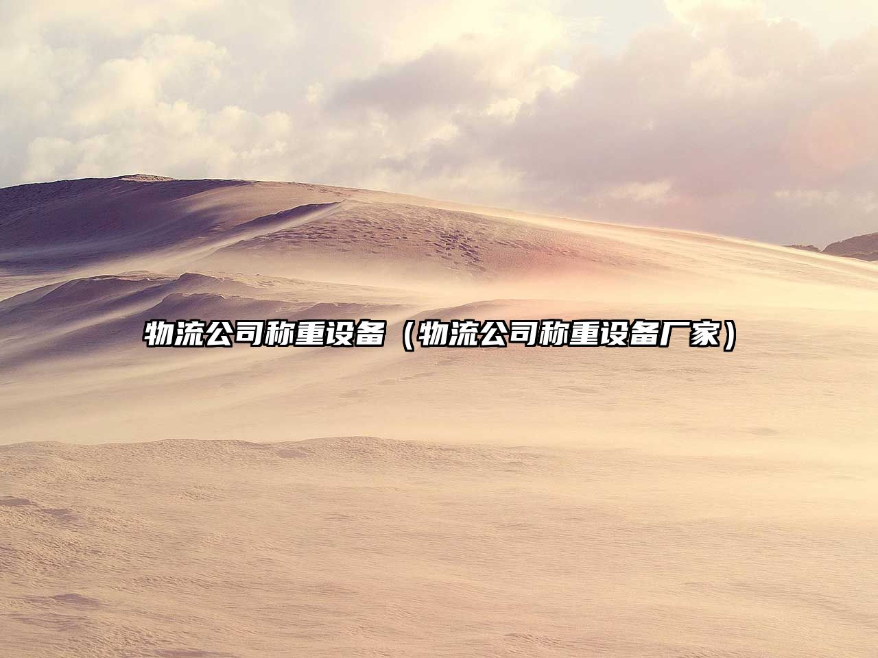 物流公司稱(chēng)重設備（物流公司稱(chēng)重設備廠(chǎng)家）