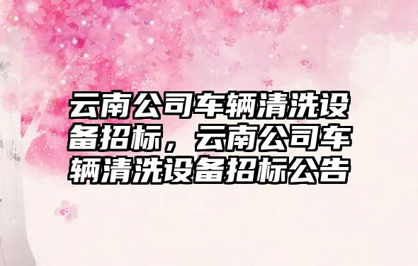 云南公司車(chē)輛清洗設備招標，云南公司車(chē)輛清洗設備招標公告
