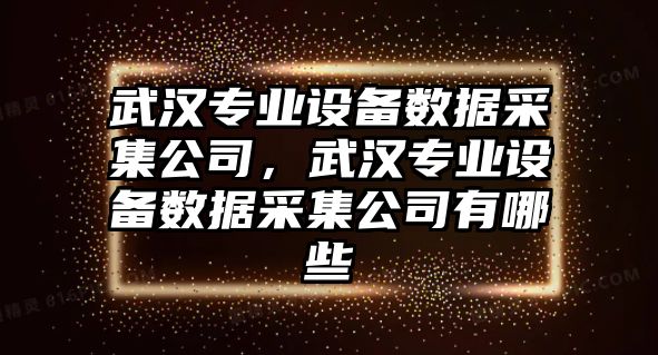 武漢專(zhuān)業(yè)設備數據采集公司，武漢專(zhuān)業(yè)設備數據采集公司有哪些