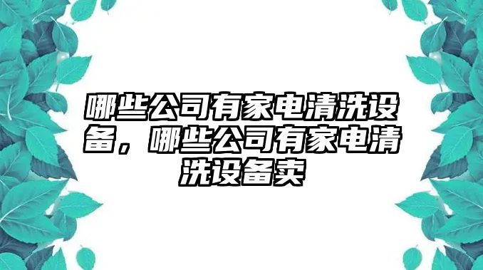 哪些公司有家電清洗設備，哪些公司有家電清洗設備賣(mài)