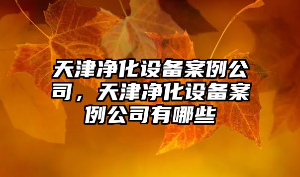 天津凈化設備案例公司，天津凈化設備案例公司有哪些