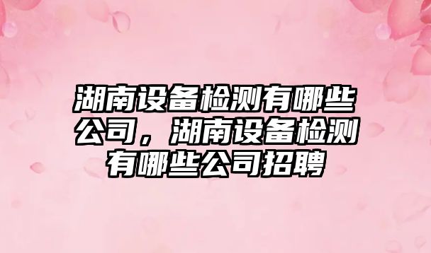 湖南設備檢測有哪些公司，湖南設備檢測有哪些公司招聘