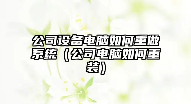 公司設備電腦如何重做系統（公司電腦如何重裝）