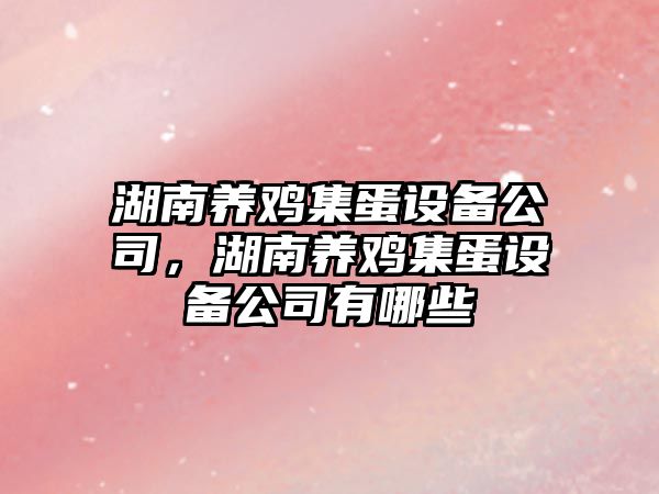湖南養雞集蛋設備公司，湖南養雞集蛋設備公司有哪些
