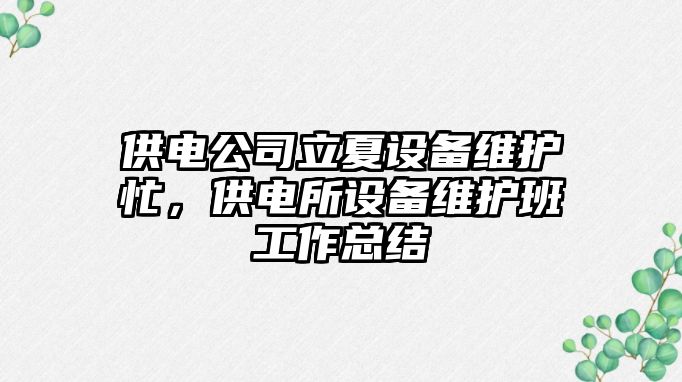 供電公司立夏設備維護忙，供電所設備維護班工作總結
