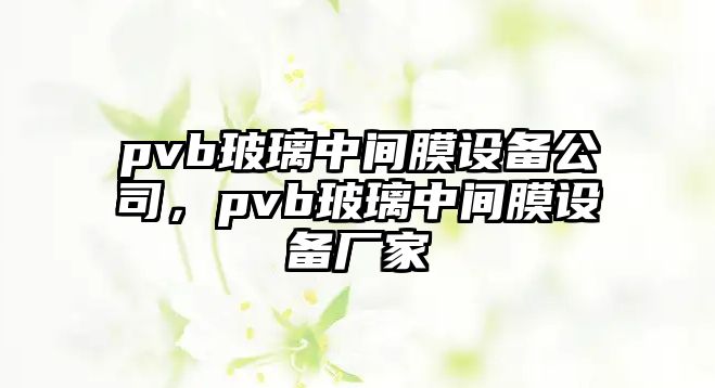 pvb玻璃中間膜設備公司，pvb玻璃中間膜設備廠(chǎng)家