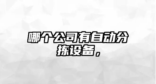 哪個(gè)公司有自動(dòng)分揀設備，