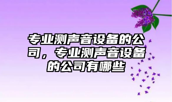 專(zhuān)業(yè)測聲音設備的公司，專(zhuān)業(yè)測聲音設備的公司有哪些